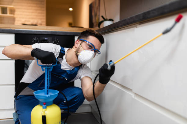Best Wasp Removal Services  in East Pittsburgh, PA