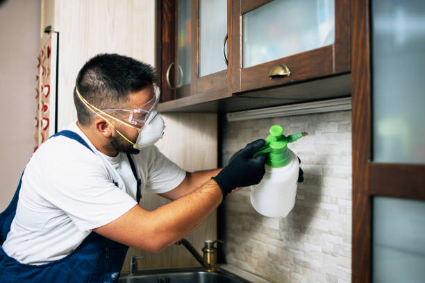 Best Pest Control for Businesses  in East Pittsburgh, PA