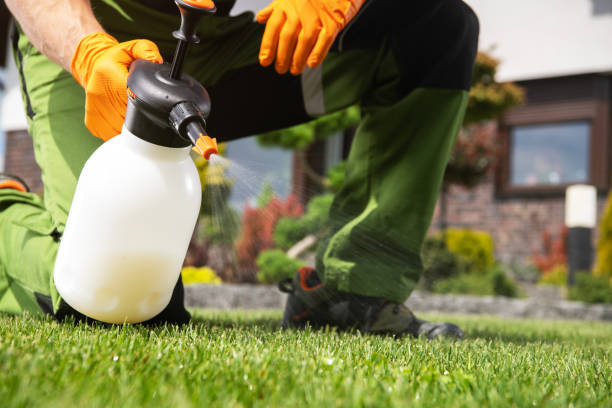 Best Commercial Pest Control Services  in East Pittsburgh, PA