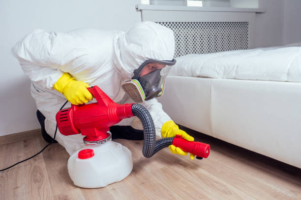 Best Insect Control  in East Pittsburgh, PA