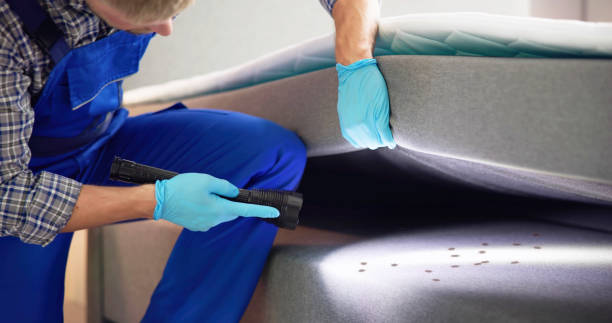 Best Cockroach Control Services  in East Pittsburgh, PA