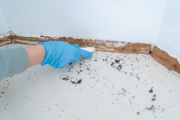 Best Commercial Pest Control Services  in East Pittsburgh, PA
