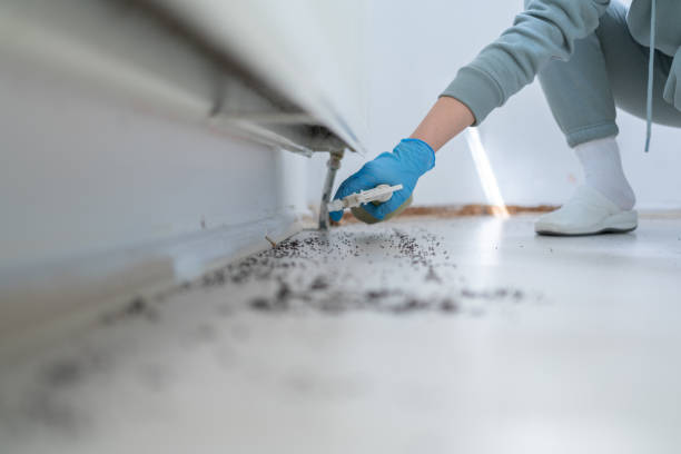 Best Spider Control Near Me  in East Pittsburgh, PA